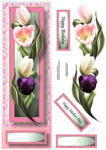 Floral Lge DL - Tulips