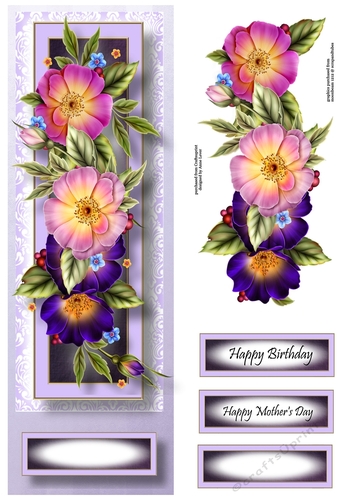 Floral Lge DL - Wild Roses