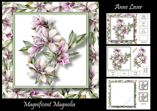 Magnificent Magnolia 
