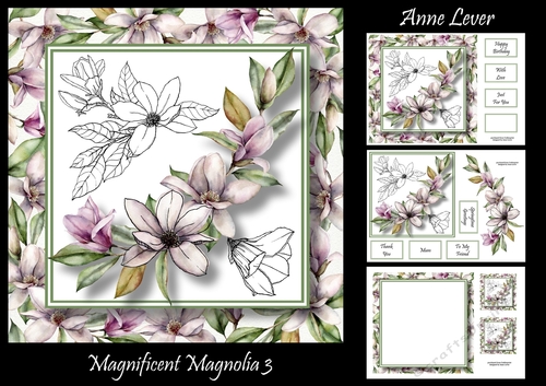 Magnificent Magnolia 3