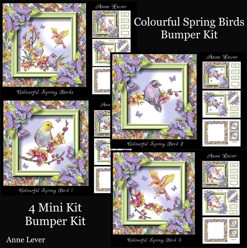 Colourful Spring Birds Bumper Kit