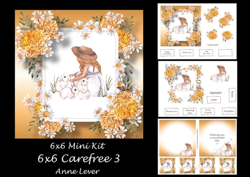 6x6 Carefree 3