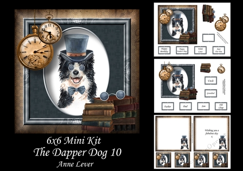 6x6 The Dapper Dog 10 - Border Collie