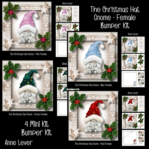The Christmas Hat Gnome Female Bumper Kit
