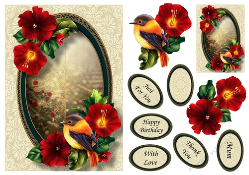 Beautiful Bird & Rich Red Flowers A5