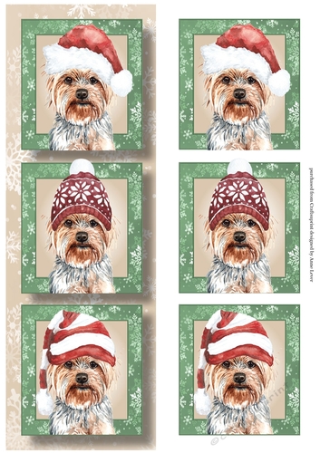 Lge DL Christmas Trio Of Dogs - Yorkshire Terrier