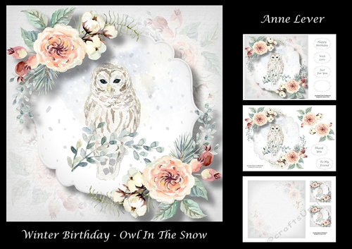 Winter Birthday - Owl In The Snow