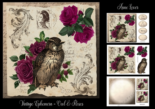 Vintage Ephemera - Owl & Roses