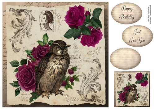 Vintage Ephemera - Owl & Roses 8x8