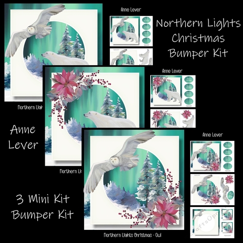 Northern Lights Christmas Bumper Kit