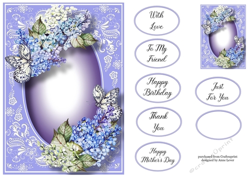 Gorgeous Lilac In Blue & Beautiful Frame A5