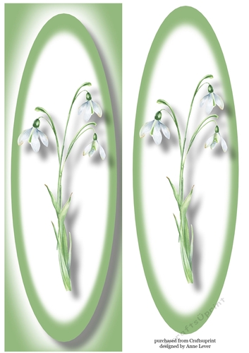 Simple Snowdrops Lge DL