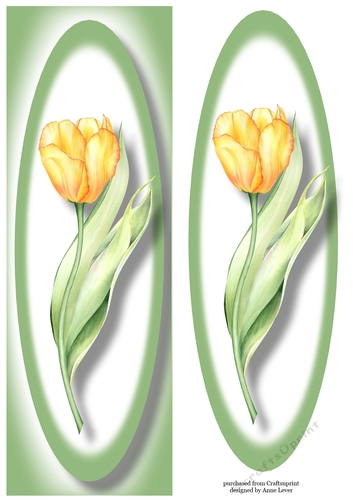 Simple Yellow Tulip Lge DL