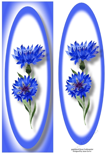 Simple Cornflowers Lge DL
