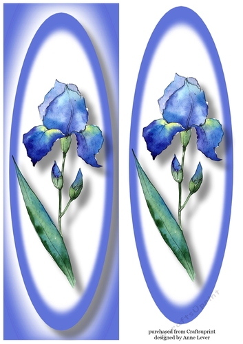 Simple Blue Iris Lge DL