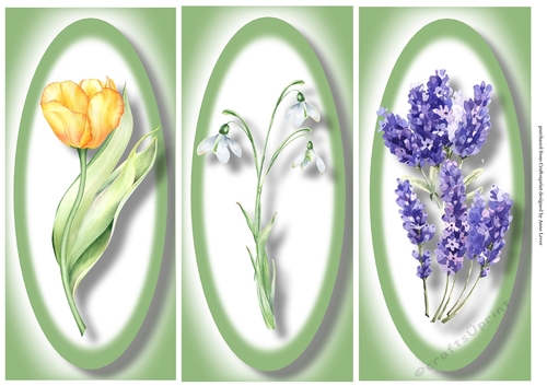 Simple Floral DL Trio Quick Toppers Sheet 1