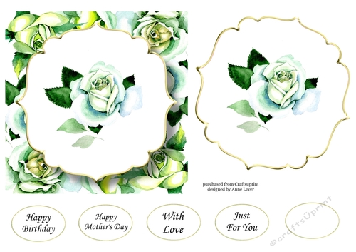 6x6 Watercolour Floral - White Roses
