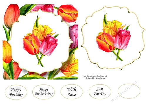 6x6 Watercolour Floral - Multicolour Tulips