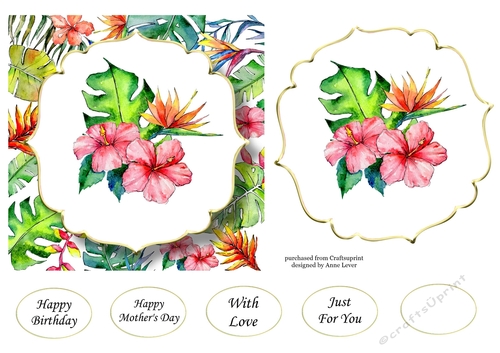 6x6 Watercolour Floral - Tropical Flowers