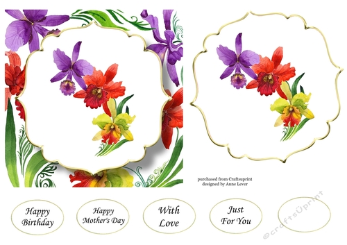 6x6 Watercolour Floral - Colourful Orchids