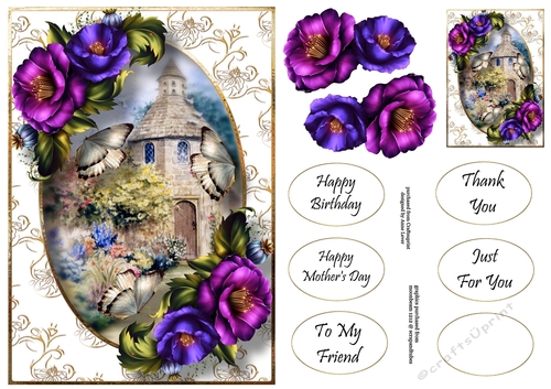 Beautiful Purple Flowers At The Dovecote A5