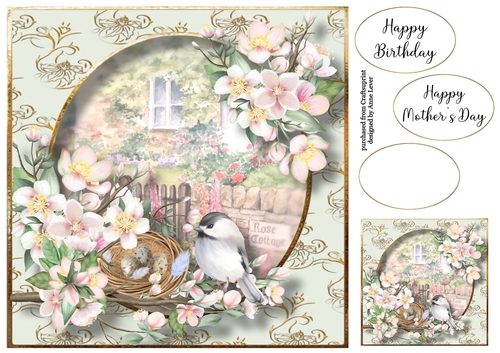 Birds Nest At The Rose Cottage 2 8x8