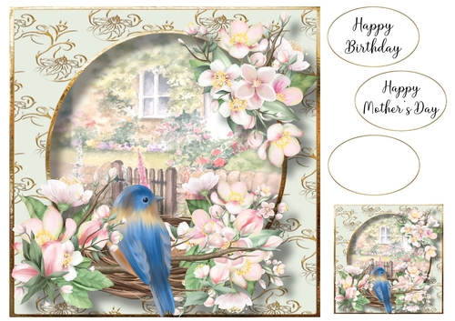 Birds Nest At The Rose Cottage 4 8x8