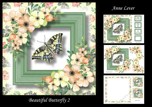 Beautiful Butterfly 2