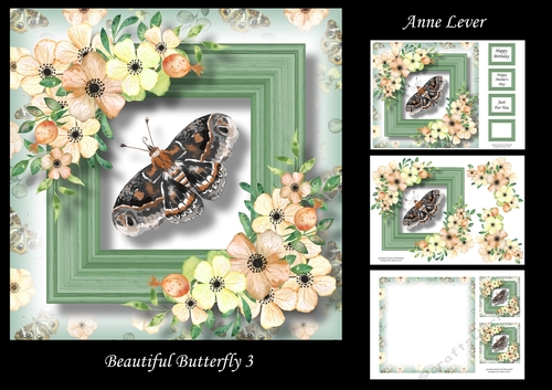 Beautiful Butterfly 3