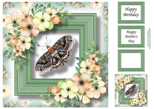 Beautiful Butterfly 3 8x8