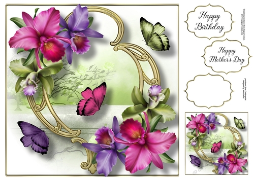 Blooms & Butterflies On Golden Frame - Tropical Orchids 8x8