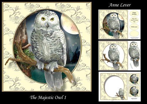 The Majestic Owl 1