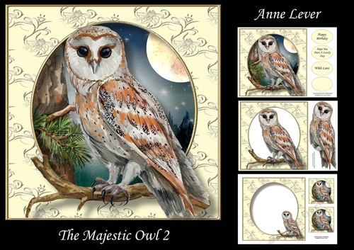 The Majestic Owl 2
