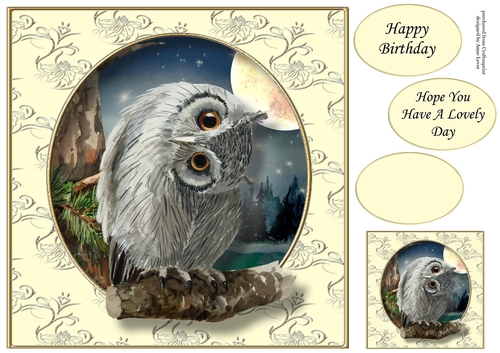 The Majestic Owl 3 8x8