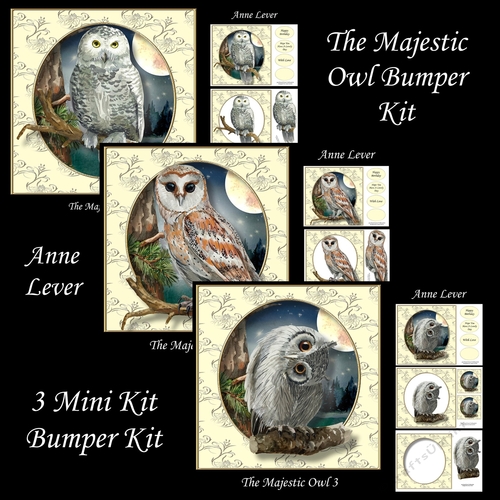 The Majestic Owl Bumper Kit
