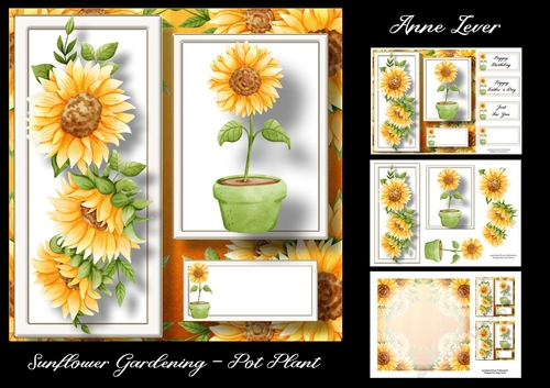 Sunflower Gardening - Pot Plant