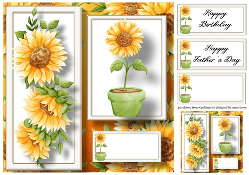 Sunflower Gardening - Pot Plant 8x8