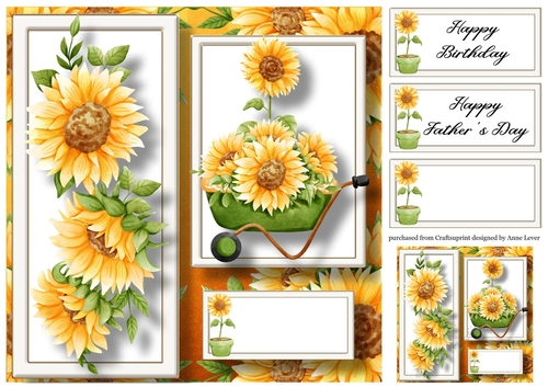 Sunflower Gardening - Wheelbarrow 8x8