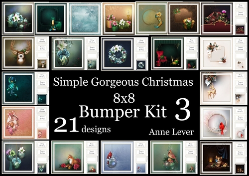 Simple Gorgeous Christmas Bumper Kit 3