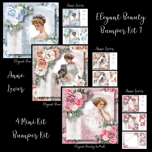 Elegant Beauty Bumper Kit 1