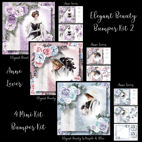 Elegant Beauty Bumper Kit 2