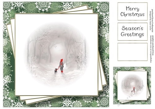 Faded Scene - The Misty Walk - No Flowers
