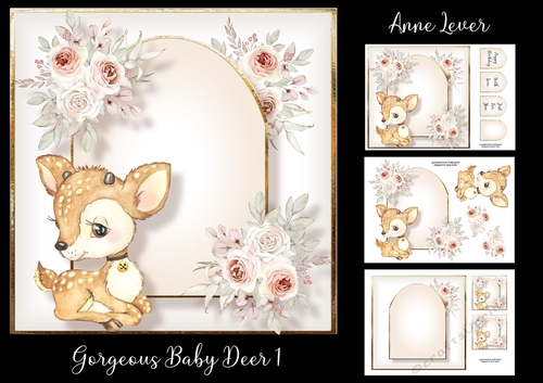 Gorgeous Baby Deer 1