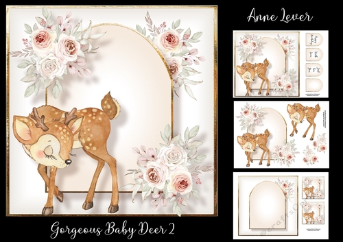 Gorgeous Baby Deer 2