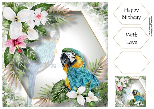 Amazonian Animals - Blue & Gold Macaw 8x8