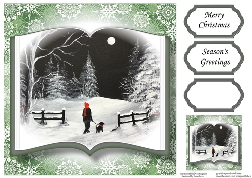 Open Book Scenic Christmas No Flowers - Midnight Walk