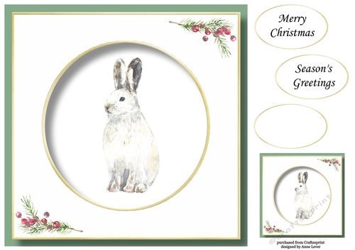 Beautiful Watercolour Snowy Hare At Christmas No Flowers