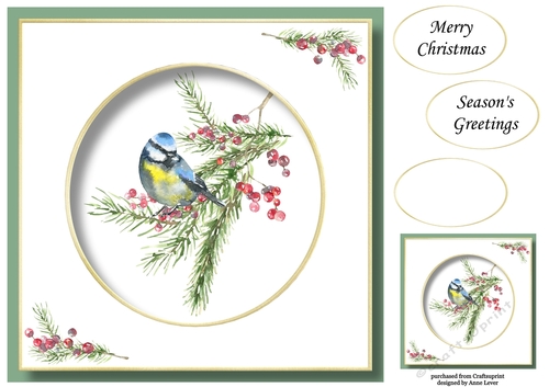 Beautiful Watercolour Bird At Christmas 1 No Flowers