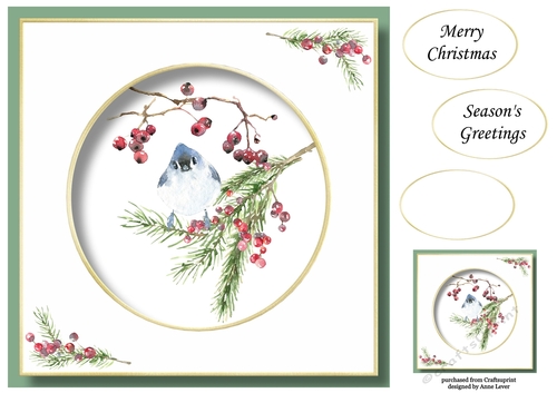 Beautiful Watercolour Bird At Christmas 2 No Flowers