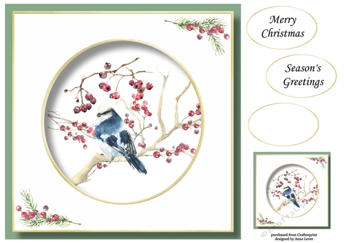 Beautiful Watercolour Bird At Christmas 3 No Flowers